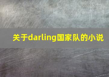 关于darling国家队的小说