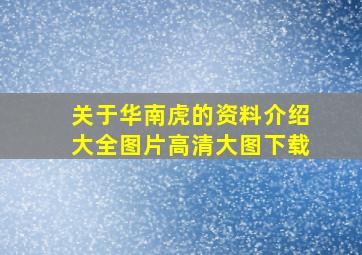 关于华南虎的资料介绍大全图片高清大图下载