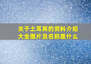 关于土耳其的资料介绍大全图片及名称是什么