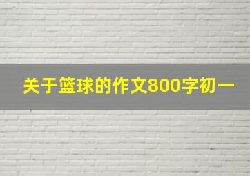 关于篮球的作文800字初一