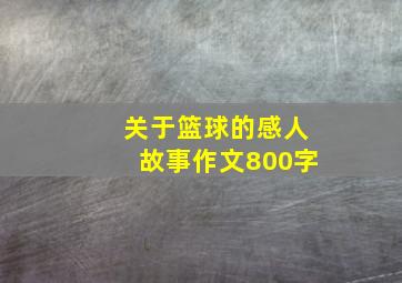 关于篮球的感人故事作文800字