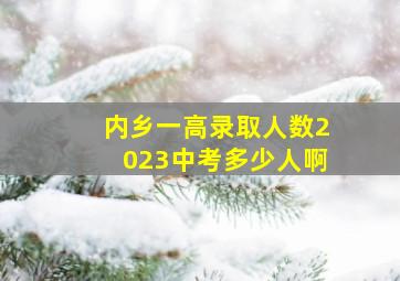 内乡一高录取人数2023中考多少人啊