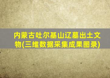 内蒙古吐尔基山辽墓出土文物(三维数据采集成果图录)