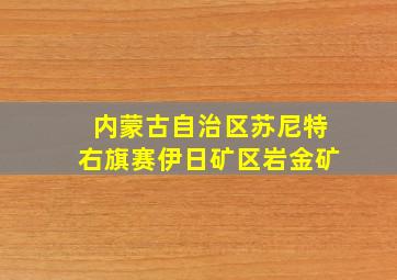 内蒙古自治区苏尼特右旗赛伊日矿区岩金矿