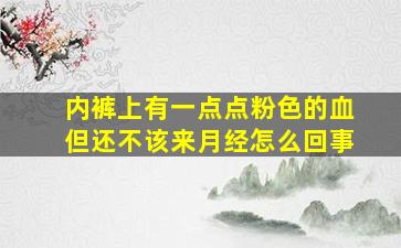 内裤上有一点点粉色的血但还不该来月经怎么回事