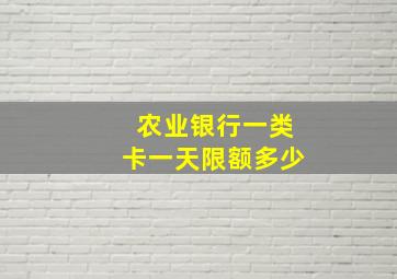 农业银行一类卡一天限额多少