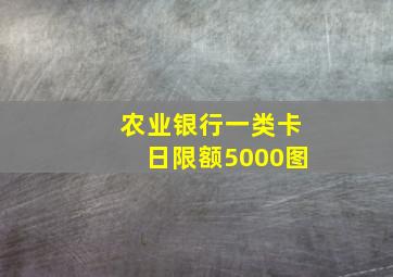 农业银行一类卡日限额5000图