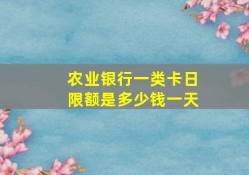 农业银行一类卡日限额是多少钱一天