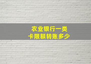 农业银行一类卡限额转账多少