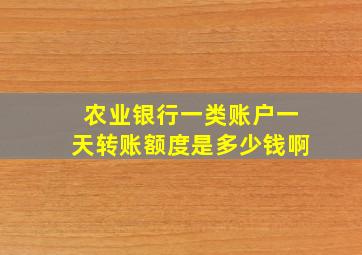 农业银行一类账户一天转账额度是多少钱啊