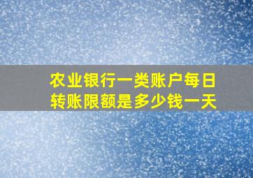 农业银行一类账户每日转账限额是多少钱一天