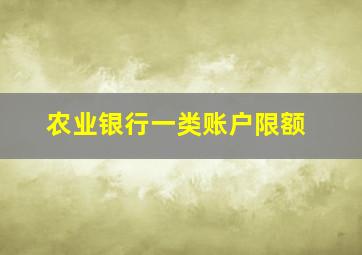 农业银行一类账户限额