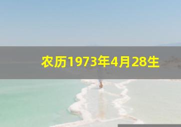 农历1973年4月28生