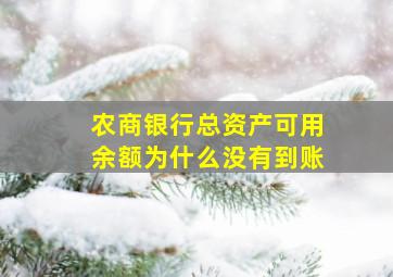 农商银行总资产可用余额为什么没有到账