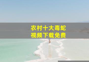 农村十大毒蛇视频下载免费