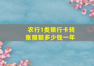 农行1类银行卡转账限额多少钱一年