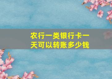 农行一类银行卡一天可以转账多少钱