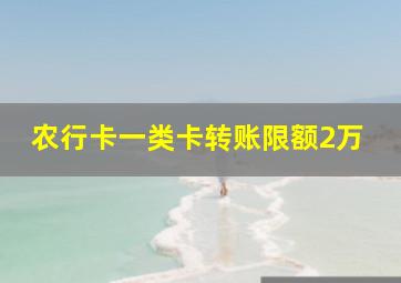 农行卡一类卡转账限额2万