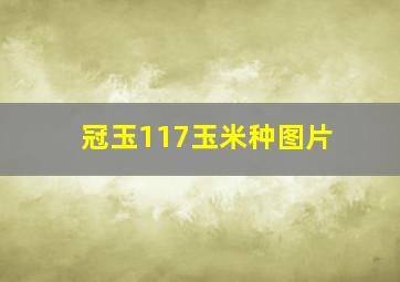 冠玉117玉米种图片