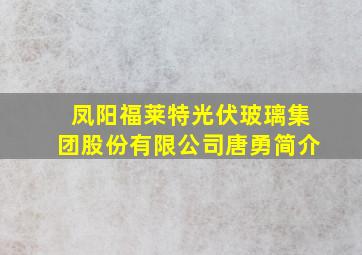 凤阳福莱特光伏玻璃集团股份有限公司唐勇简介