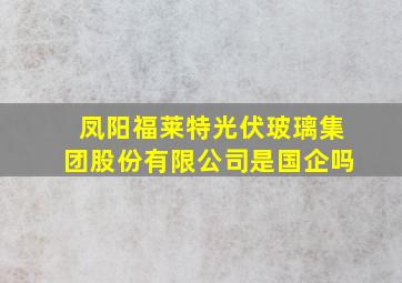 凤阳福莱特光伏玻璃集团股份有限公司是国企吗