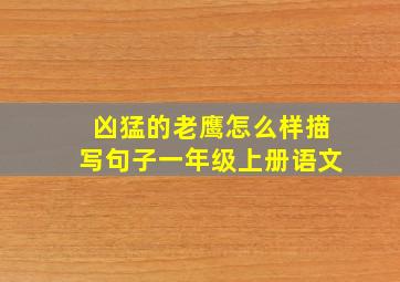 凶猛的老鹰怎么样描写句子一年级上册语文