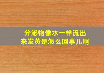 分泌物像水一样流出来发黄是怎么回事儿啊