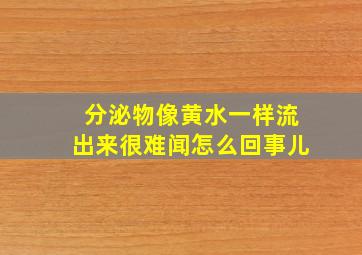 分泌物像黄水一样流出来很难闻怎么回事儿