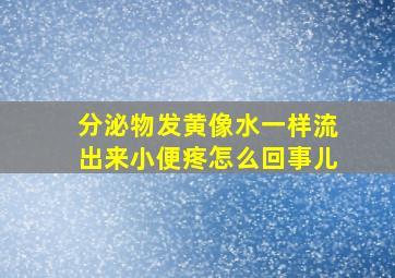 分泌物发黄像水一样流出来小便疼怎么回事儿