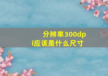 分辨率300dpi应该是什么尺寸