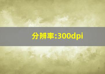 分辨率:300dpi