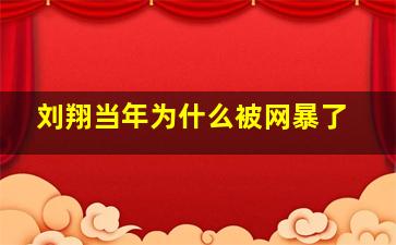 刘翔当年为什么被网暴了