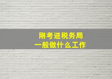 刚考进税务局一般做什么工作