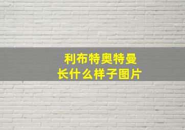 利布特奥特曼长什么样子图片