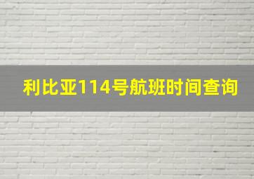 利比亚114号航班时间查询