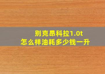 别克昂科拉1.0t怎么样油耗多少钱一升