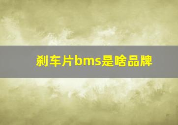 刹车片bms是啥品牌