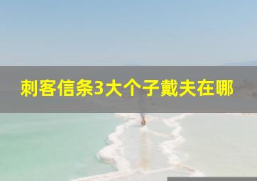 刺客信条3大个子戴夫在哪