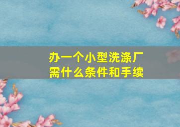 办一个小型洗涤厂需什么条件和手续