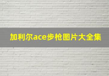 加利尔ace步枪图片大全集