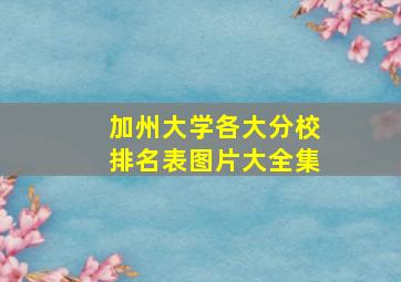 加州大学各大分校排名表图片大全集