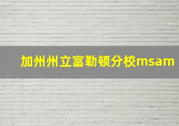 加州州立富勒顿分校msam