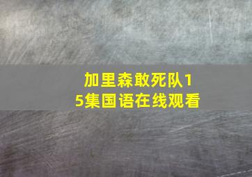 加里森敢死队15集国语在线观看