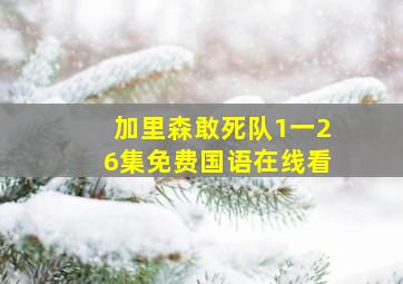 加里森敢死队1一26集免费国语在线看