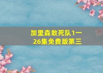 加里森敢死队1一26集免费版第三