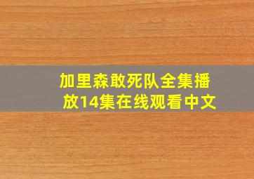 加里森敢死队全集播放14集在线观看中文