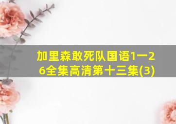 加里森敢死队国语1一26全集高清第十三集(3)