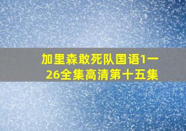 加里森敢死队国语1一26全集高清第十五集