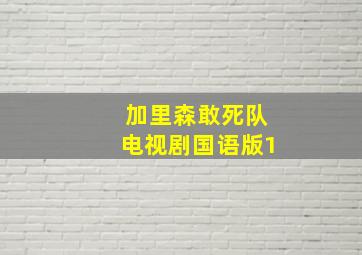 加里森敢死队电视剧国语版1