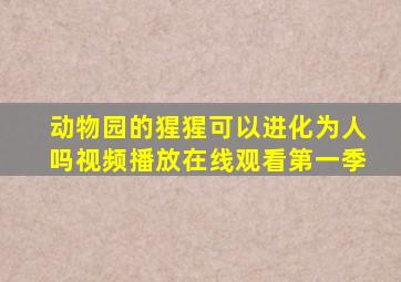 动物园的猩猩可以进化为人吗视频播放在线观看第一季